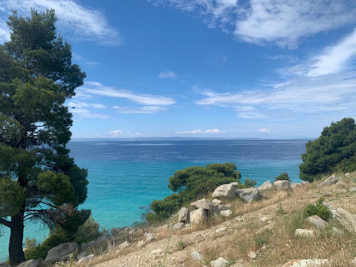 Niovi Villas Nikiti  Bagian luar foto